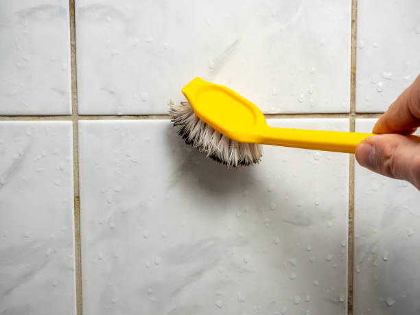 Best Home Mold Removal  in Las Palmas Ii, TX