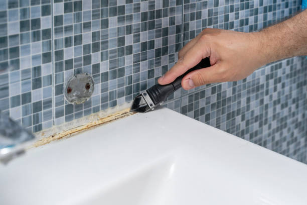 Best Same-Day Mold Removal  in Las Palmas Ii, TX