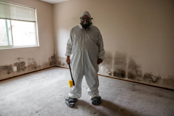 Best Professional Mold Removal  in Las Palmas Ii, TX